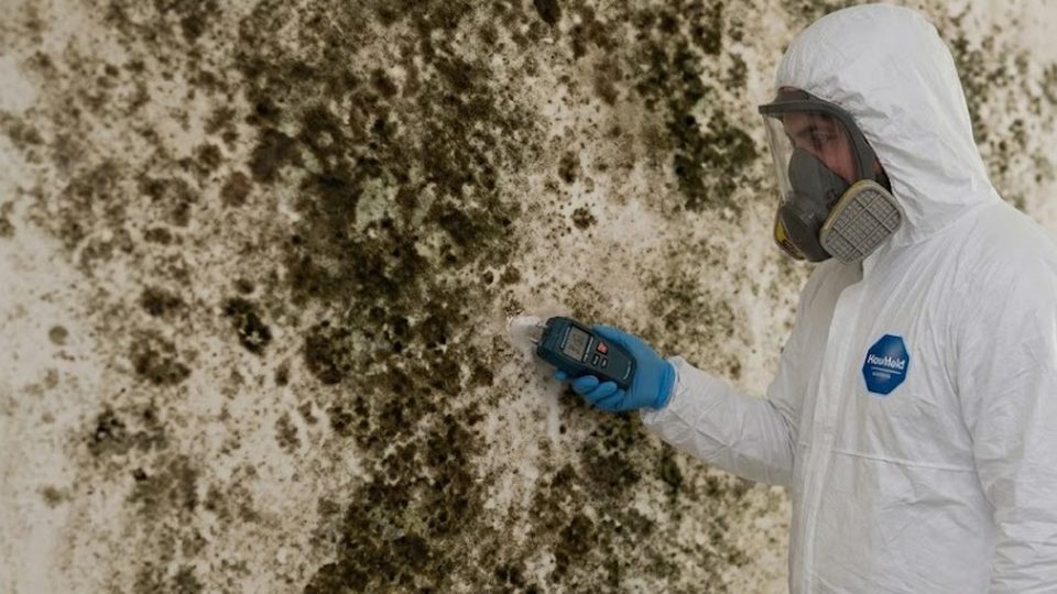 Mold remediation specialist working in a King of Prussia property